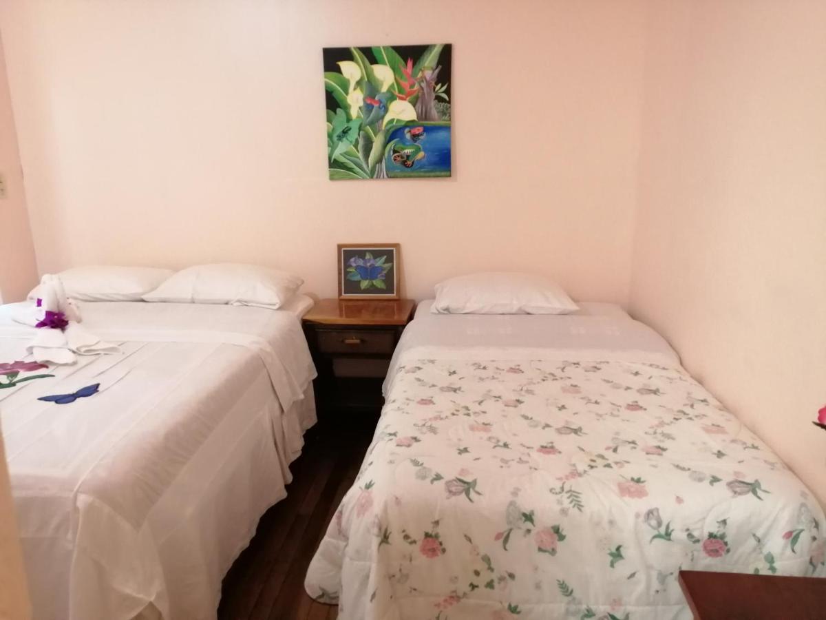 Monte Los Lirios Lodge Monteverde Eksteriør bilde